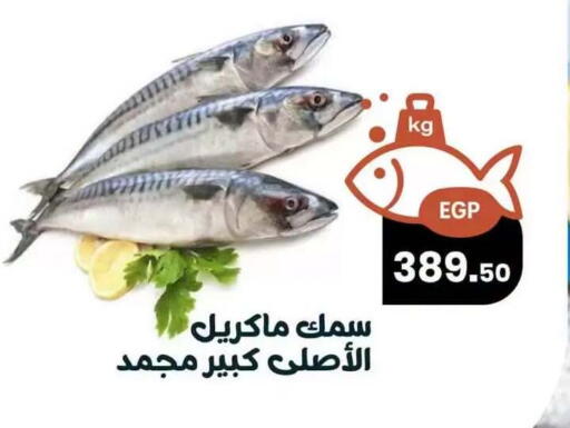 available at Arafa  in Egypt - Cairo
