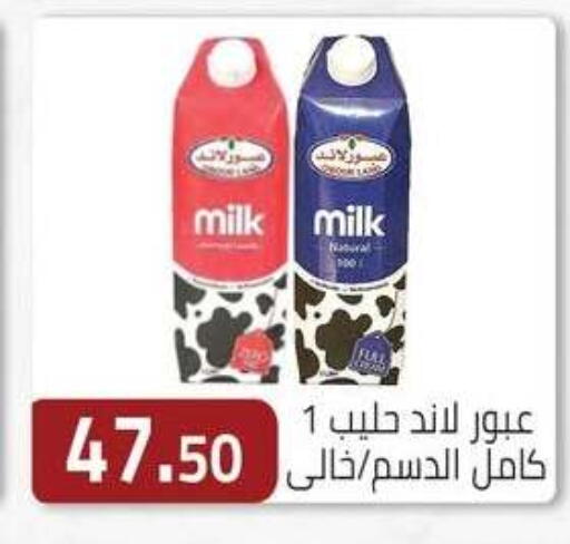 available at ABA market in Egypt - Cairo