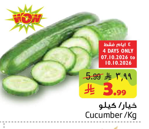 Cucumber available at ليان هايبر in مملكة العربية السعودية, السعودية, سعودية - المنطقة الشرقية