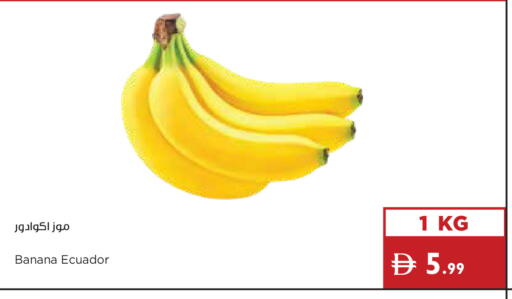 Banana from Ecuador available at إسطنبول سوبرماركت in الإمارات العربية المتحدة , الامارات - ٱلْعَيْن‎