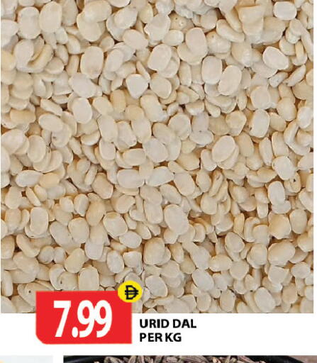 available at جلف هايبرماركت ذ.م.م in الإمارات العربية المتحدة , الامارات - رَأْس ٱلْخَيْمَة