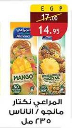 Mango available at الرايه  ماركت in Egypt - القاهرة