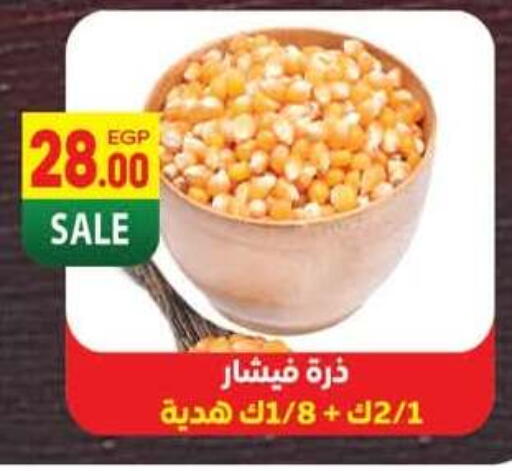 available at Hyper El Mansoura Shobra in Egypt - Cairo