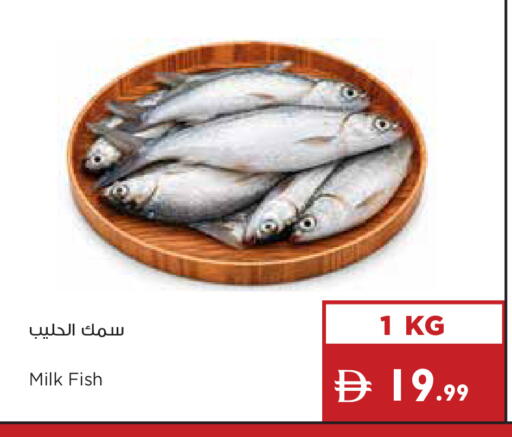 available at إسطنبول سوبرماركت in الإمارات العربية المتحدة , الامارات - دبي
