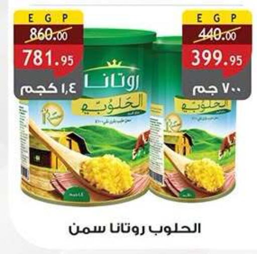 available at Al Rayah Market   in Egypt - Cairo