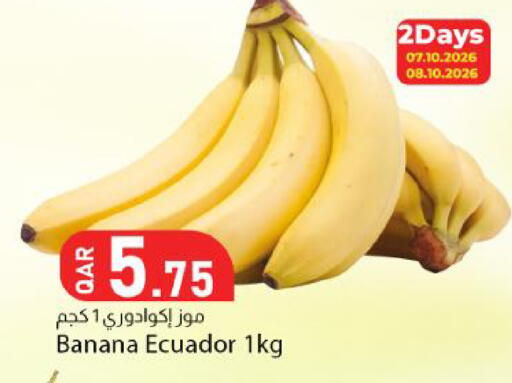 Banana from Ecuador available at Dana Market in Qatar - Al Wakra
