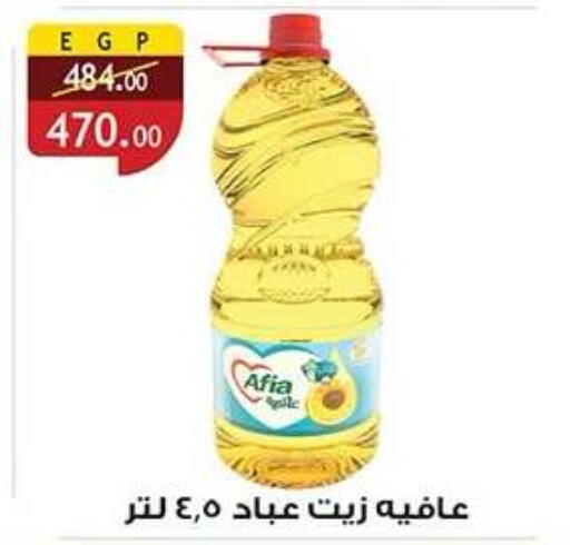 available at الرايه  ماركت in Egypt - القاهرة