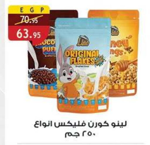 available at الرايه  ماركت in Egypt - القاهرة