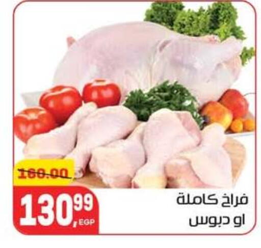 available at هايبر المنصورة in Egypt - القاهرة