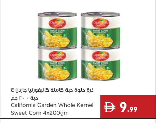 available at إسطنبول سوبرماركت in الإمارات العربية المتحدة , الامارات - ٱلْعَيْن‎