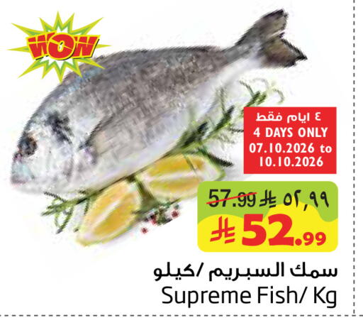 available at ليان هايبر in مملكة العربية السعودية, السعودية, سعودية - المنطقة الشرقية