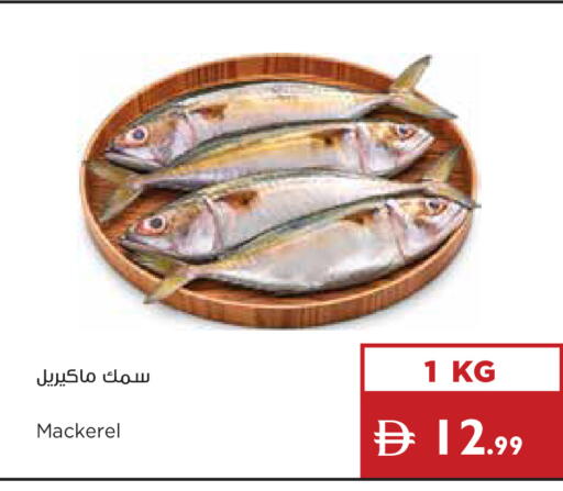 available at إسطنبول سوبرماركت in الإمارات العربية المتحدة , الامارات - ٱلْعَيْن‎