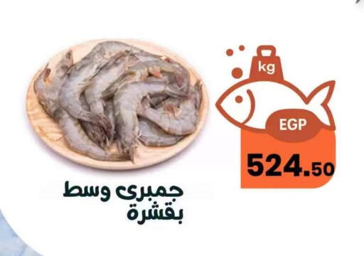 available at Arafa  in Egypt - Cairo