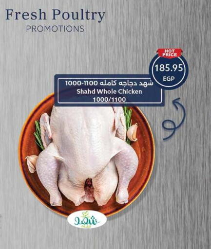 available at  أوسكار جراند ستورز  in Egypt - القاهرة