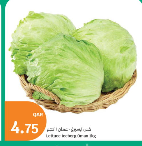 Lettuce from Oman available at سيتي هايبرماركت in قطر - الشمال