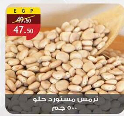 available at الرايه  ماركت in Egypt - القاهرة
