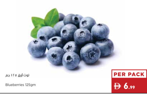 available at إسطنبول سوبرماركت in الإمارات العربية المتحدة , الامارات - ٱلْعَيْن‎