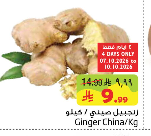 Ginger from China available at ليان هايبر in مملكة العربية السعودية, السعودية, سعودية - المنطقة الشرقية