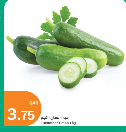 Cucumber from Oman available at سيتي هايبرماركت in قطر - الشمال