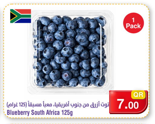 Blueberry BlueBerry from South Africa available at ميغا مارت in قطر - الوكرة