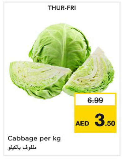 Cabbage available at نستو هايبرماركت in الإمارات العربية المتحدة , الامارات - ٱلْعَيْن‎