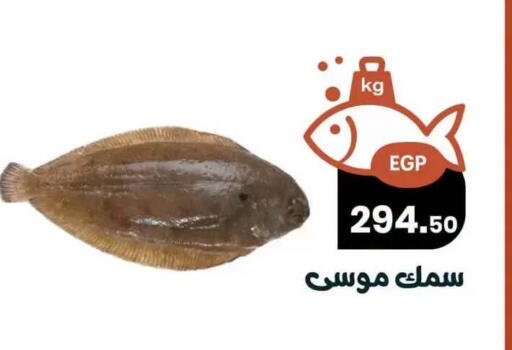 available at Arafa  in Egypt - Cairo