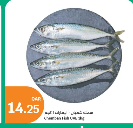 available at City Hypermarket in Qatar - Doha
