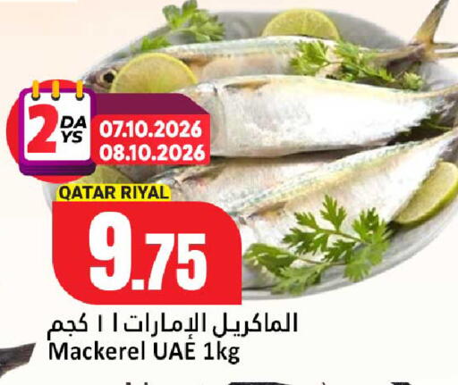 available at دانة هايبرماركت in قطر - الخور