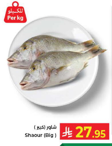 available at كبايان هايبرماركت in مملكة العربية السعودية, السعودية, سعودية - ينبع