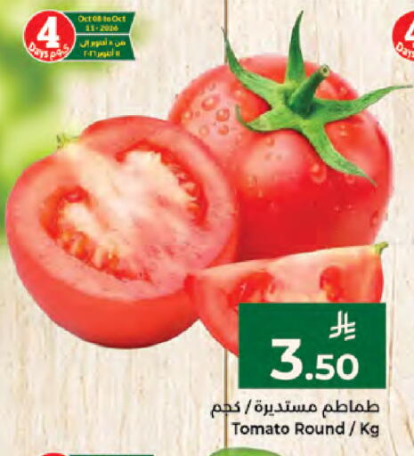 Tomato available at كبايان هايبرماركت in مملكة العربية السعودية, السعودية, سعودية - جدة