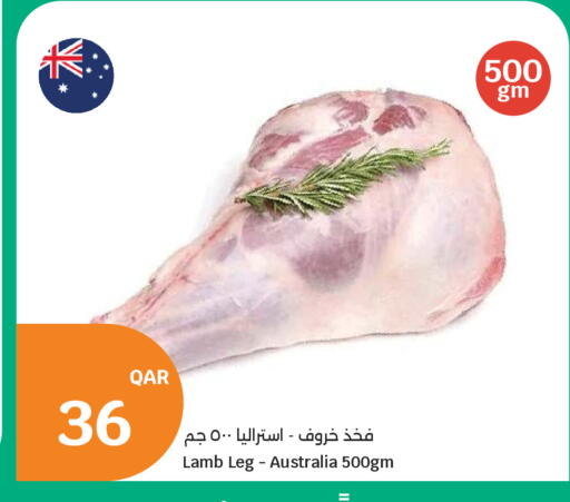 available at سيتي هايبرماركت in قطر - الوكرة