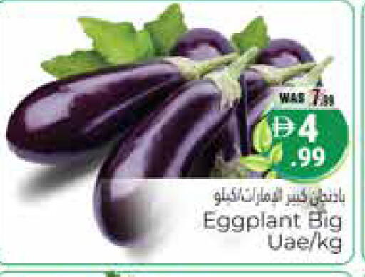 Eggplant available at هايبر ماركت باسونز in الإمارات العربية المتحدة , الامارات - ٱلْعَيْن‎