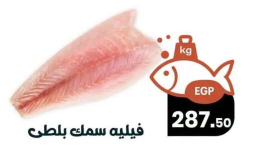 available at Arafa  in Egypt - Cairo