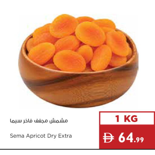 Apricot available at إسطنبول سوبرماركت in الإمارات العربية المتحدة , الامارات - ٱلْعَيْن‎