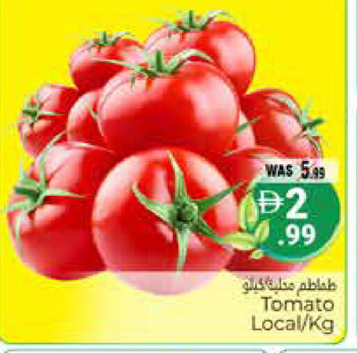 Tomato available at هايبر ماركت باسونز in الإمارات العربية المتحدة , الامارات - ٱلْعَيْن‎