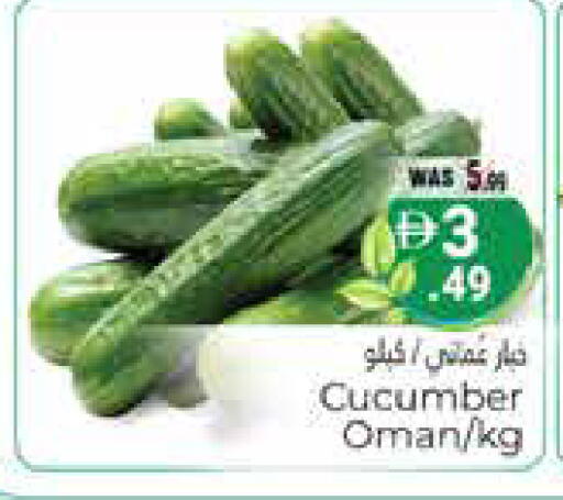 Cucumber from Oman available at هايبر ماركت باسونز in الإمارات العربية المتحدة , الامارات - ٱلْعَيْن‎