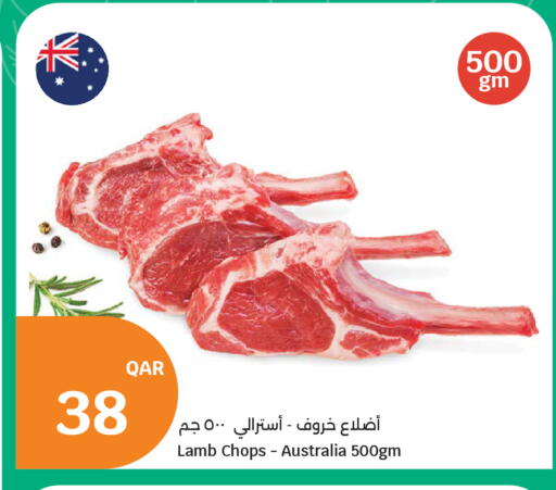 available at سيتي هايبرماركت in قطر - الوكرة