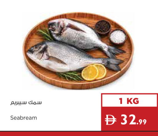 available at إسطنبول سوبرماركت in الإمارات العربية المتحدة , الامارات - ٱلْعَيْن‎