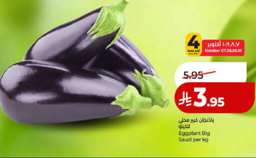 Eggplant from Saudi Arabia available at لولو هايبرماركت in مملكة العربية السعودية, السعودية, سعودية - المدينة المنورة