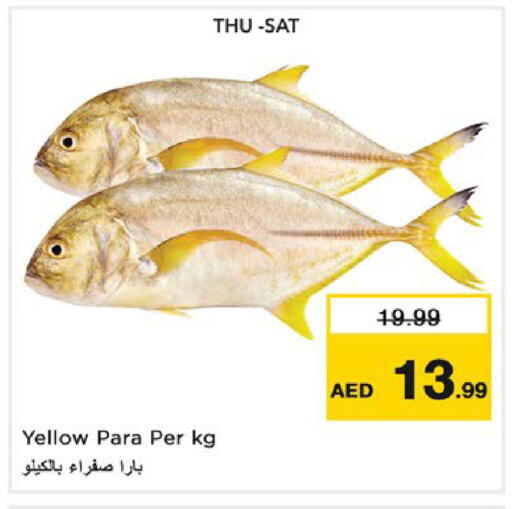available at نستو هايبرماركت in الإمارات العربية المتحدة , الامارات - ٱلْعَيْن‎