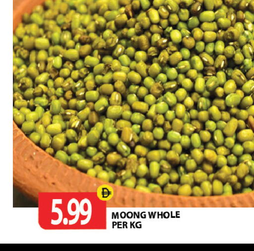available at جلف هايبرماركت ذ.م.م in الإمارات العربية المتحدة , الامارات - رَأْس ٱلْخَيْمَة