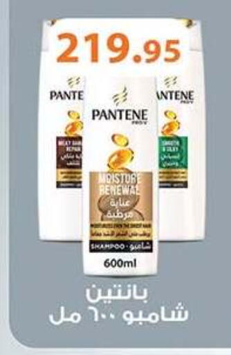 available at Al Rayah Market   in Egypt - Cairo