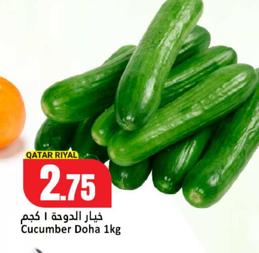 Cucumber from Qatar available at دانة هايبرماركت in قطر - الشمال