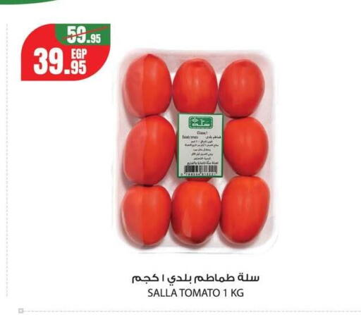 Tomato available at Géant Egypt in Egypt - Cairo