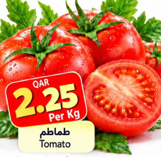 Tomato available at جلف فود سنتر in قطر - الدوحة