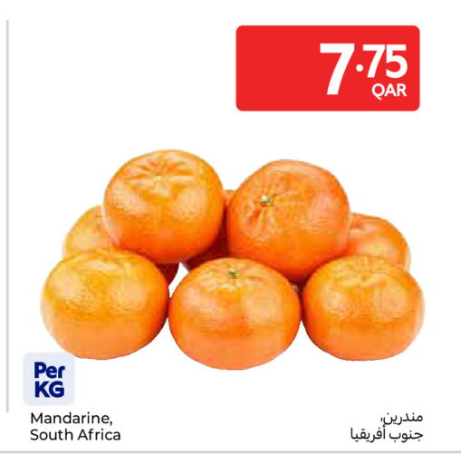 from South Africa available at Carrefour in Qatar - Umm Salal