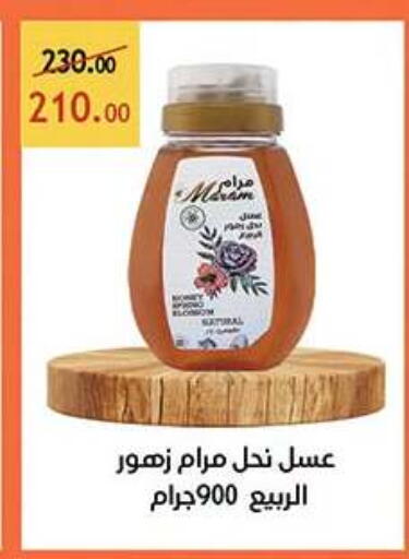available at الرايه  ماركت in Egypt - القاهرة