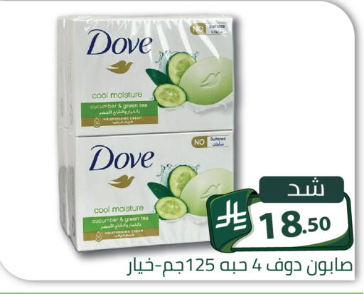 Cucumber available at تخفيضات العائلة in مملكة العربية السعودية, السعودية, سعودية - الرياض