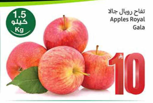 available at أسواق عبد الله العثيم in مملكة العربية السعودية, السعودية, سعودية - الخبر‎