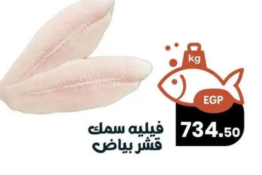 available at Arafa  in Egypt - Cairo